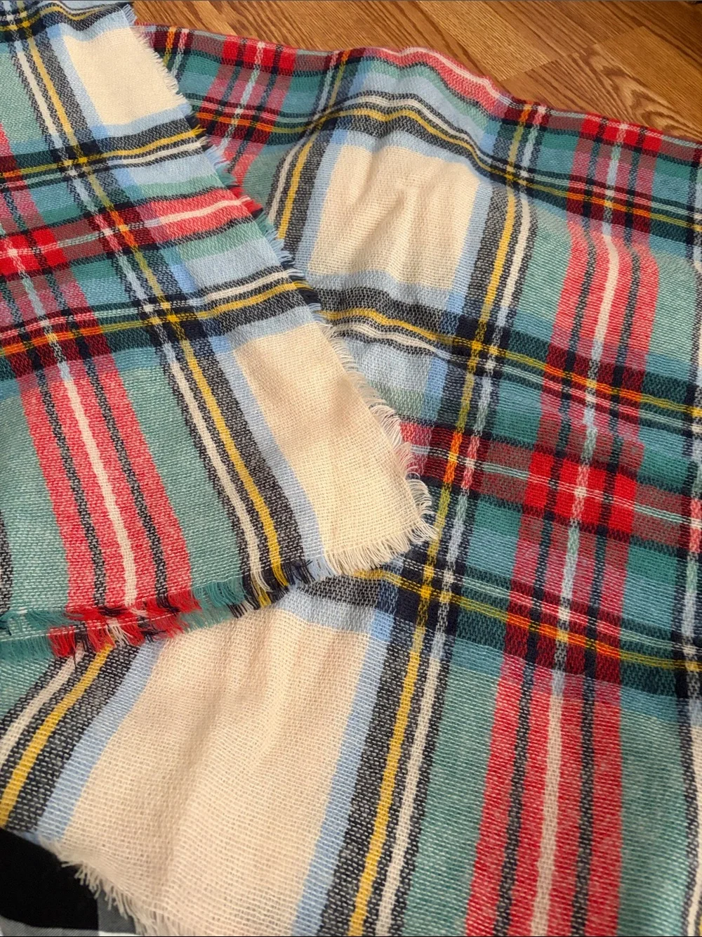 aerie Plaid Tote with Teal, Red and Cream Fringe Scarf